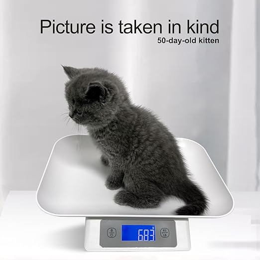 Digital Pet Scale for Small Adult Cats and Animals, Measuring Range 0.1oz-33lbs, Accuracy 1g/0.035oz, Units g/kg/lb/oz/tl/ml, Suitable for Kittens, Puppies, Snakes,and Small Dog (Grey)