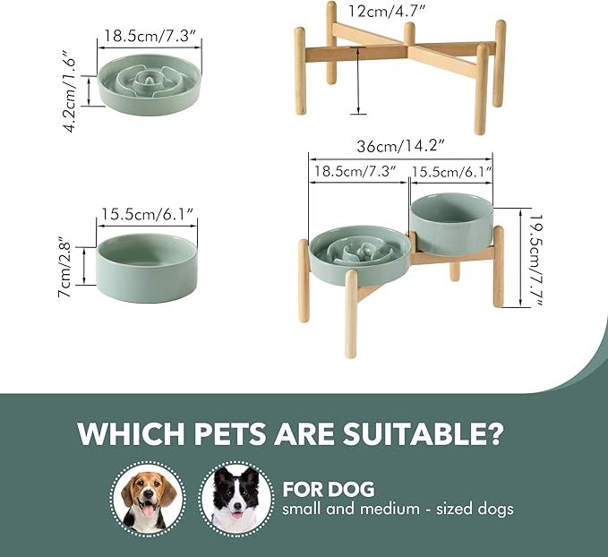 Havniva Ceramic 1.2 Cup Raised Slow Feeder Dog Bowl Set, Elevated 6.1inch Bowl and 7.3inch Puzzle Slow Food Dish with Wooden Stand for Medium and Small Dog, Anti-Gulping (2 x Light Green+ Stand)