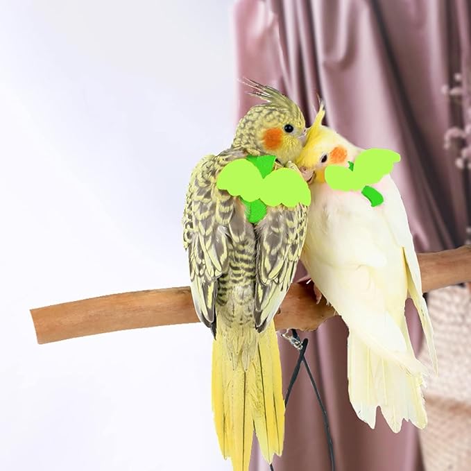 Birds Harness Leash Outdoor Flying Escape-Proof Adjustable Training Design Anti-Bite Bird Rope with Cute Wing for Parrots Scarlet Keck Mini Macaw Love Birds (Green)