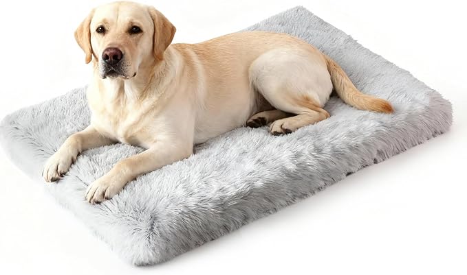 XL Orthopedic Dog Bed for Large Dogs, Dual-Layer Memory & Egg-Crate Foam, Washable Warm Winter Plush Cover, Waterproof Liner, Non-Slip Bottom, Crate/Kennel Pad, 44 x 32 Inch, Gray