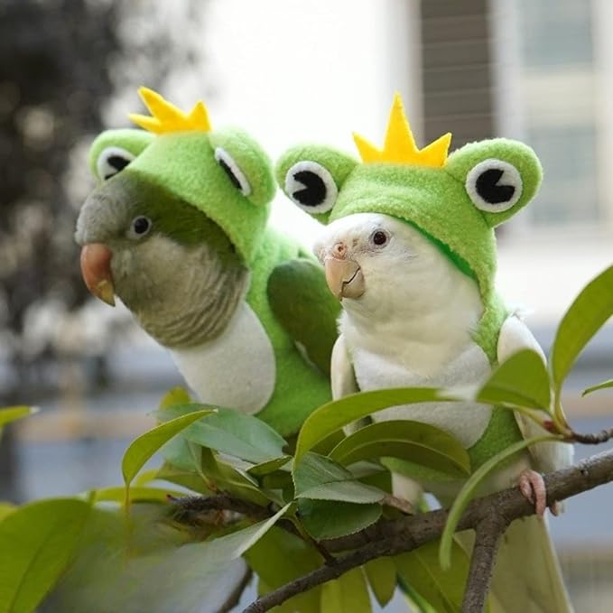 Bird Costume Diaper Flight Suit Frog Shape Hoodie Clothes Cosplay Photo Prop for Parrots Parakeet Cockatiel Sun Conure, Small Animals Apparel (Pink Without Diaper, Large), Green