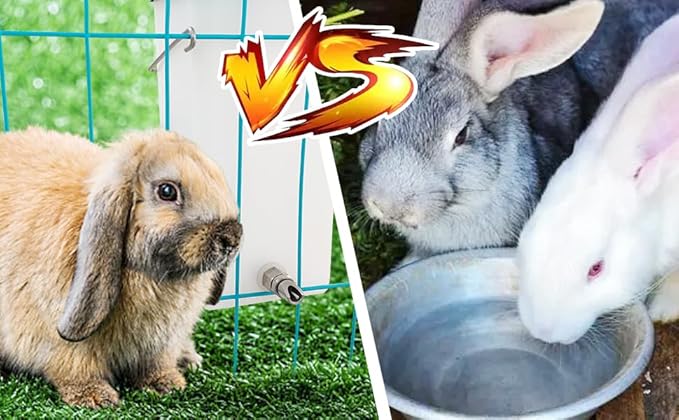 32oz No-Drip Rabbit Waterer Stainless Steel Nipple for Small Animal Rabbit Waterer for Small Pet/Bunny/Ferret/Hamster/Guinea Pig (1L) (cy-tzwsq, xbh1)