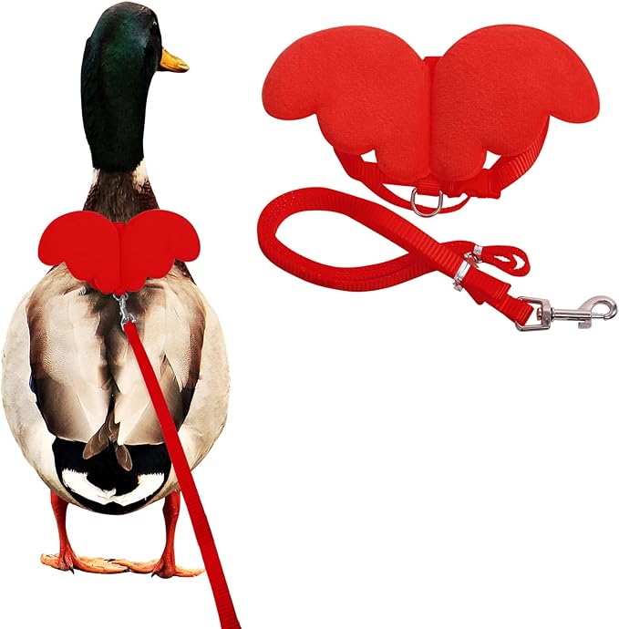 KAMA BRIDAL Duck Walking Harness and Leash Chicken Duck Outdoor Training Rope Adjustable Rope for Pet Poultry Hen Cock (M, Red)
