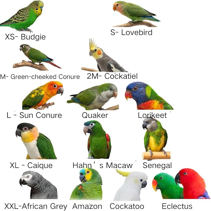 Adjustable Bird Harness with Elastic Leash, Pet Parrot Harness and Leash, Adjustable Training Design Anti-Bite, Bird Nylon Rope with Cute Wing for Conure (Deep Green,L)