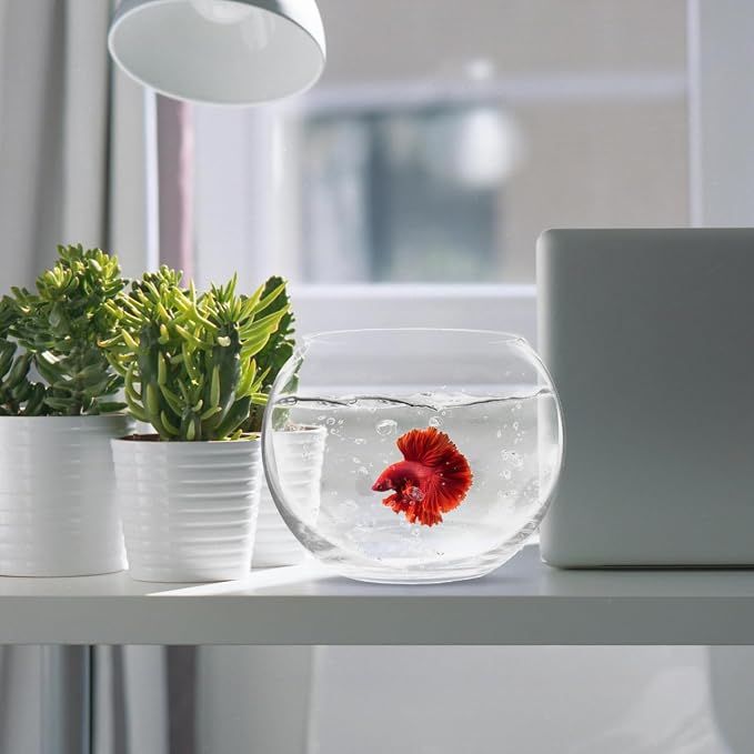 Baluue Round Glass Fish Bowl 5.90 in Clear Bubble Bowl for Fish Plants Flowers Shells and Crafts Compact Desktop for Home Office Shop Decor Centerpieces Terrarium