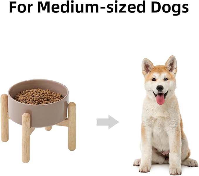 Havniva Ceramic 6.1inch Raised Dog Bowl with Stand for Small and Medium Dog Dish Pet Food and Water Bowl (Single Bowl with Stand - Brown Coffee)