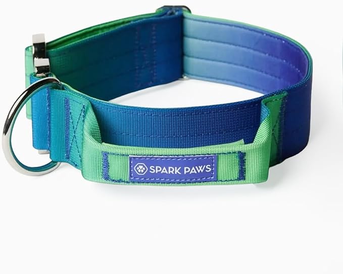 Spark Paws Tactical Dog Collar - Heavy Duty, Premium Quality, Thick and Durable for Large and Medium Dogs - Lime Wave - L - 1.5"