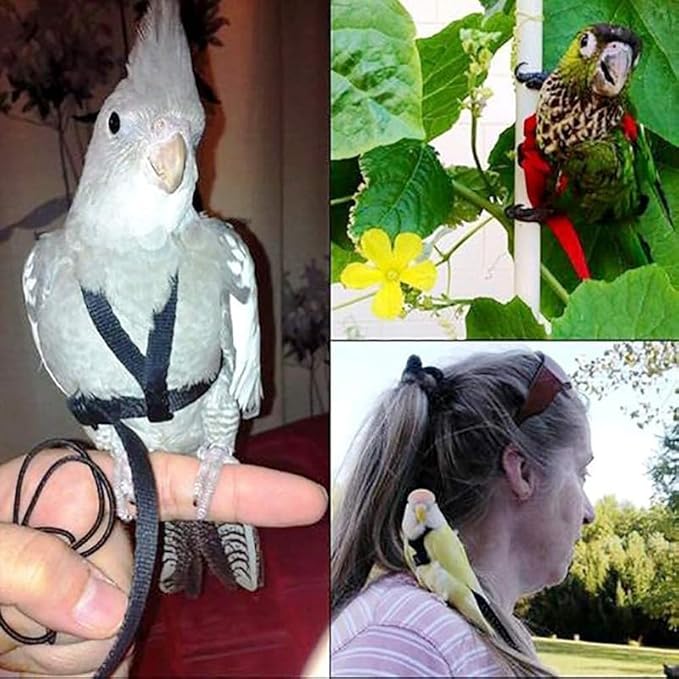 Adjustable Bird Harness and Leash,Anti-Escape Durable Nylon Parrot Harness, Flying Training Rope Parrot Leash for Small Medium Large Breed Parrots Fits Chest Under 18.5'', Purple S