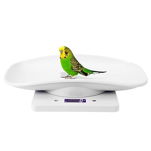Digital Pet Scale for Small Animals 1g to 10kg LCD Display Accurate Weight Measurement with Non Slip Surface Gram Ounce Unit Switch