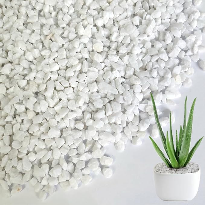 1.1 LB White Succulent Cactus Soil Cover Gravels, Decorative Small Rock | Indoor Plants,Natural Stones for Aquarium Fish Tank,Grow Media Cultivation Hydroponic Pebbles,2-5mm
