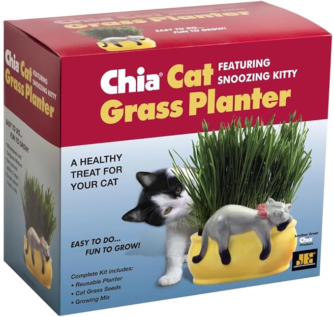 Chia Pet Kitty Cat Grass, Decorative Pottery Planter, Easy to Do and Fun to Grow, Novelty Gift, Perfect for Any Occasion