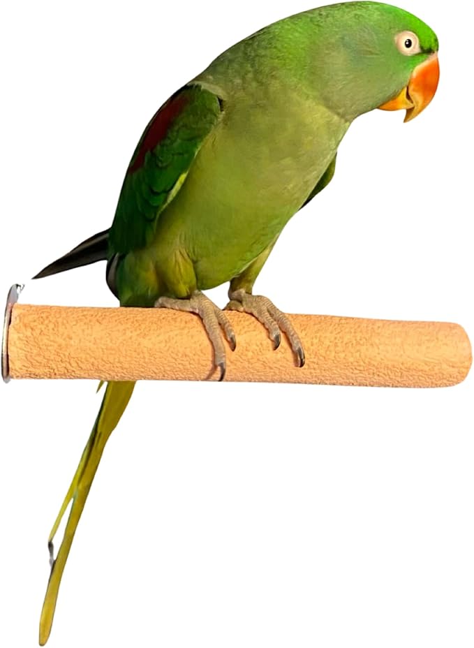 Polly's Pastels Nail Trimming & Beak Conditioning Safety Perch for Cockatiels, Cockatoos, Macaws, Parakeets, Budgies, Parrots and All Other Birds (Coral, Medium-1 1/4" Dia. x 8" Long)