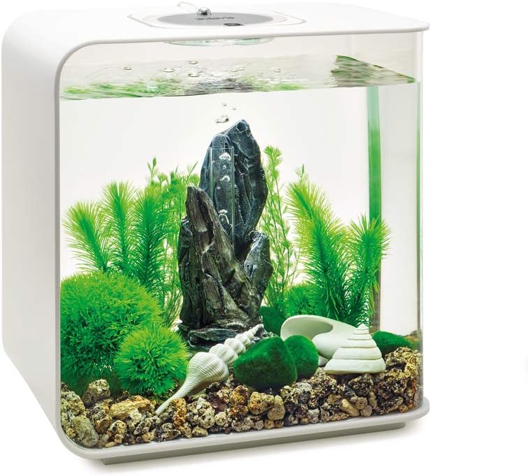 biOrb Decor Set – 30L Stone Garden, Medium