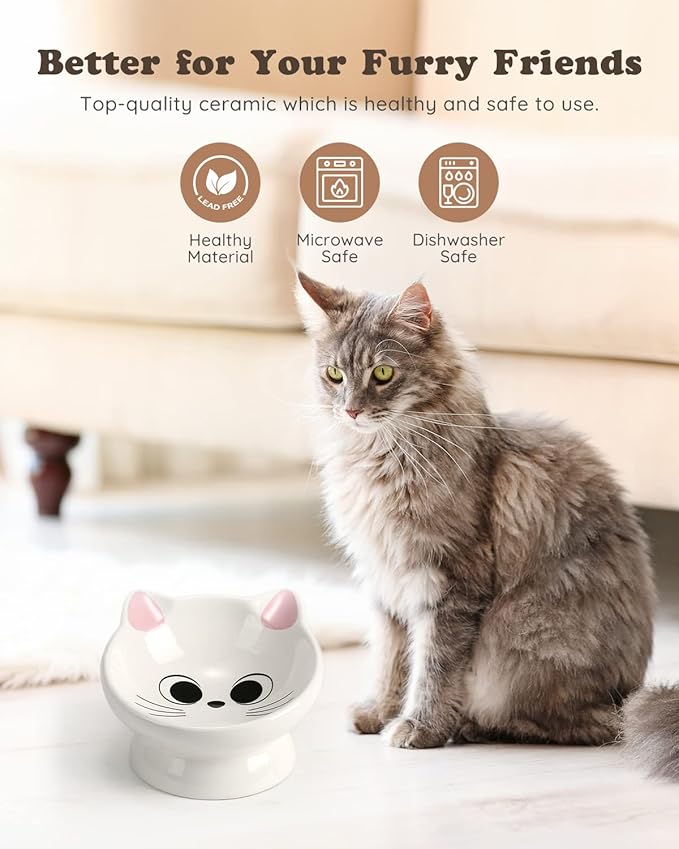 2Pcs Raised Cat Food Bowl Ceramic 15° Tilted Cat Food Bowls Protect Cat's Spine Anti Vomiting Backflow Prevention Bowls for Adult, Kitten, and Small Dogs, Pink