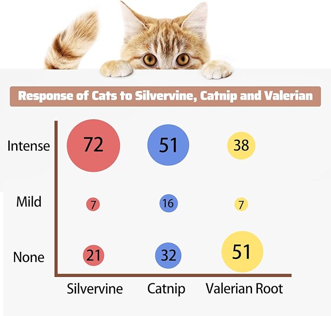 Silver Vine Powder, Organic Gall Fruit Powder(Matatabi), 100% Natural Catnip Alternative, Refillable Catnip Toys for Cats & Kittens, 50 Grams（1.8 OZ） of Powder