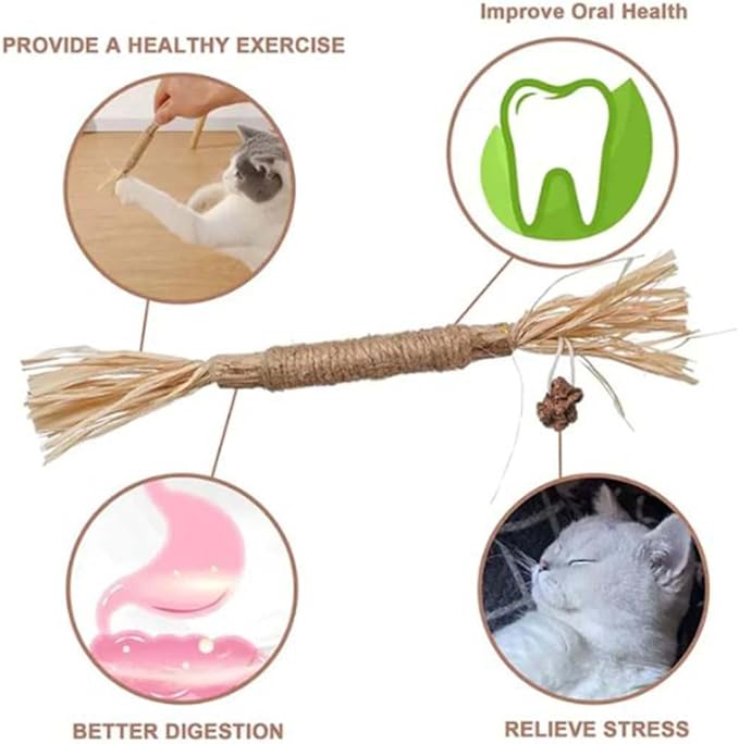 Natural Silvervine Dental Sticks, Silvervine Sticks for Cats, Natural Silvervines Stick Cat Chew Toy, Promote Dental Health, Engage & Entertain (2PCS)