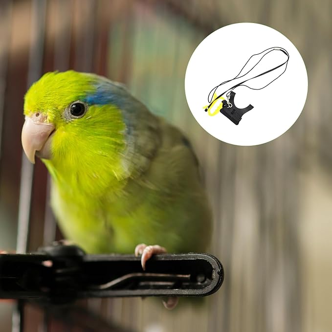 Lightweight Outdoor Bird Flight Vest Harness and Adjustable Leash Set, Dark Color M Size, Training Harness for Small to Medium Parrots