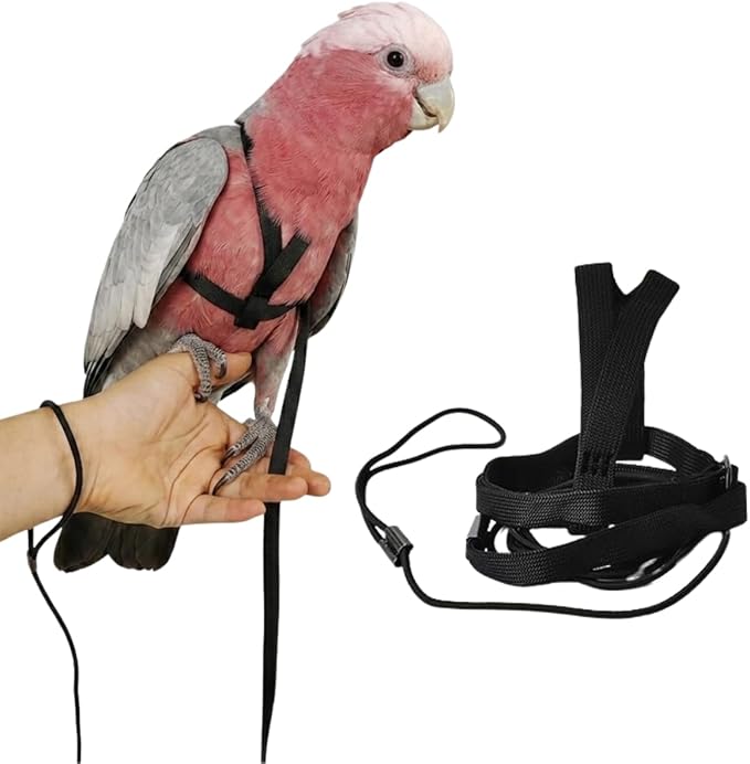 Adjustable Bird Harness and Leash for Parrots Outdoor Flight Training Anti-Bite Light Weight Easy-to-Wear Bird Vest with 59 Inch Elastic Leash for Quaker Conure African Grey Macaw Cockatoo (S)
