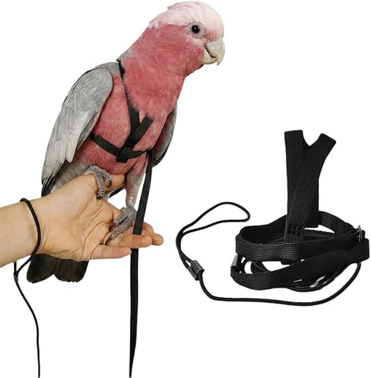 Adjustable Bird Harness and Leash for Parrots Outdoor Flight Training Anti-Bite Light Weight Easy-to-Wear Bird Vest with 59 Inch Elastic Leash for Quaker Conure African Grey Macaw Cockatoo (S)