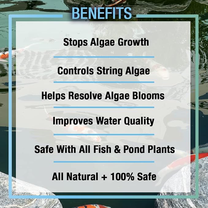 MICROBE-LIFT ALGA2.5 Algaway 5.4 Algae Control Treatment for Ponds and Water Gardens, Safe for Koi Fish, Goldfish, Plants, and Decorations, 2.5 Gallons