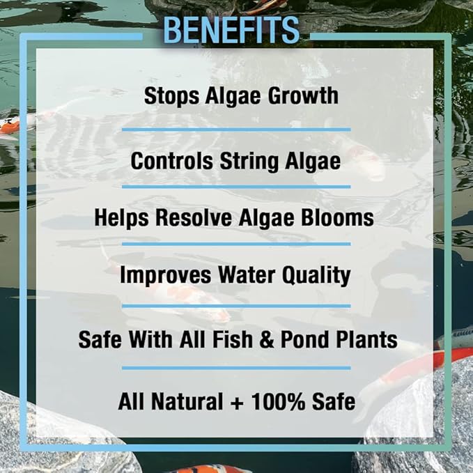 MICROBE-LIFT ALGA32 Algaway 5.4 Algae Control Treatment for Ponds and Water Gardens, Safe for Koi Fish, Goldfish, Plants, and Decorations, 32 Ounces