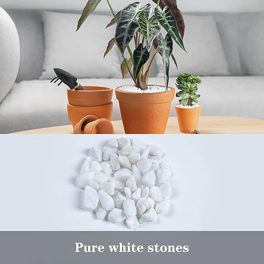 5lb River Rocks Polished Silica Gravel for Plants Garden, Decorative Pebbles Ideal for Fish Tank, Vases, Succulents, Crafting, Home Decor and Garden Landscaping, Snow White(0.2-0.3”)