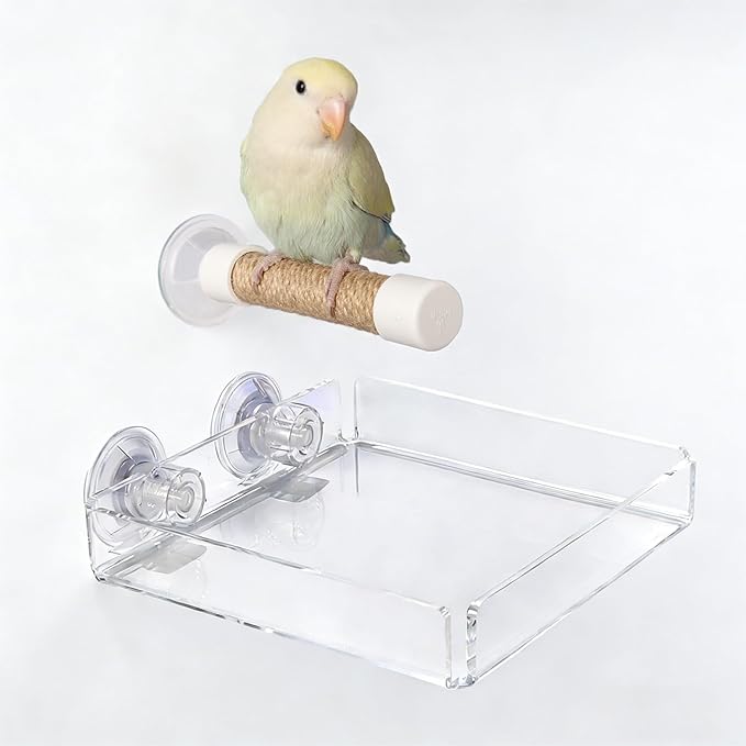 2-in-1 Bird Perch with Removable Tray | Suction Cup Bird Perch with Locking Guard & Feeder Tray | for Small and Medium Birds Like Parakeets, Cockatiels, Lovebirds, Conures(Clear,Medium)