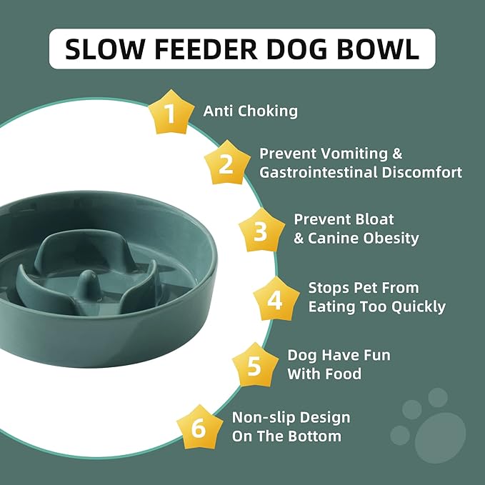 Havniva Ceramic 0.9 Cup Dog Bowl Slow Feeder for Small Dog, 6.1inch Pet Slow Feeder, Wet and Dry Food Dish, Stop Bloat, Preventing Choking(Single Bowl-Dark Green)