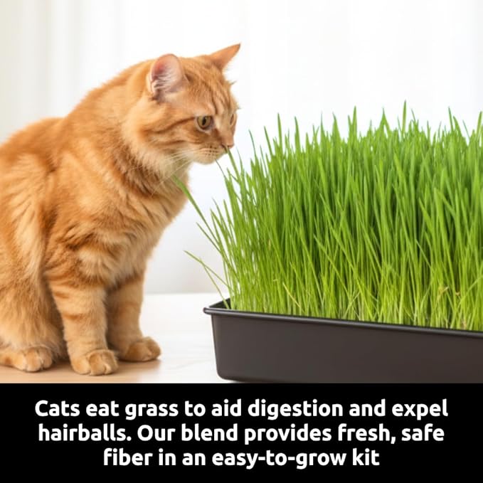 Cat Grass Grow Refill - Holiday Cat Lover Gift - Organic Seed, Jute Grow Mats, 10 x 10 Grow Container - Great for Indoor/Outdoor Cat, Dogs & Pets - Pet Grass (3X Jute Pads and Seeds Refill Kit)
