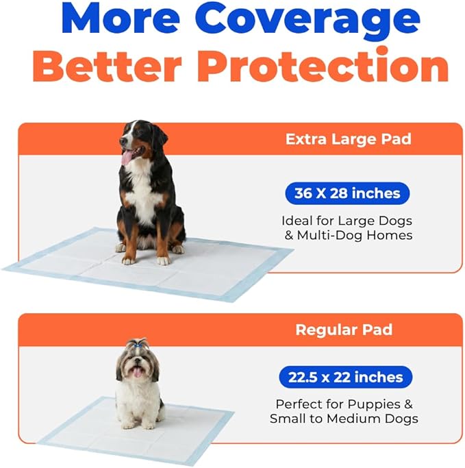 Best Pet Supplies XL (36 x 28 Inches) Puppy Pads 40 Count - Super Absorbent Dog Training Pads, Quick-Dry, Odor Control, Disposable Pee Pads, Leak-Proof Wee Wee Pads for Indoor Dogs – Baby Blue