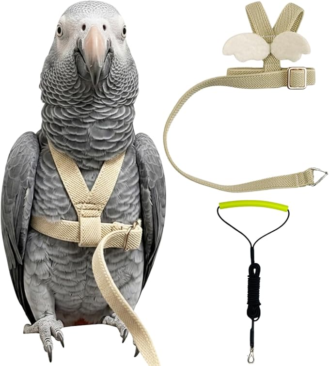 Adjustable Bird Harness with Elastic Leash, Pet Parrot Harness and Leash, Adjustable Training Design Anti-Bite, Bird Nylon Rope with Cute Wing for Conure (Beige,XXL)