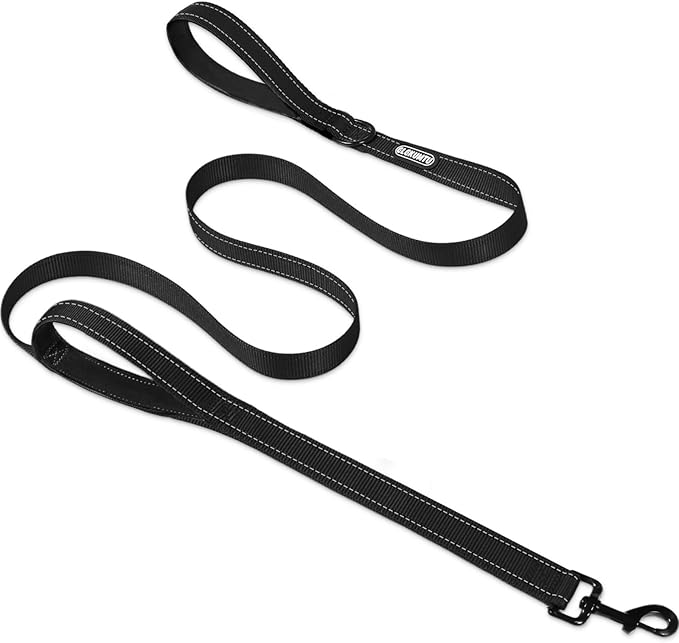 6 FT Heavy Duty Dog Leash with 2 Comfortable Padded Handles, Traffic Handle Extra Control, Highly Reflective Threads Leash for Small/Medium/Large Dogs (Black)