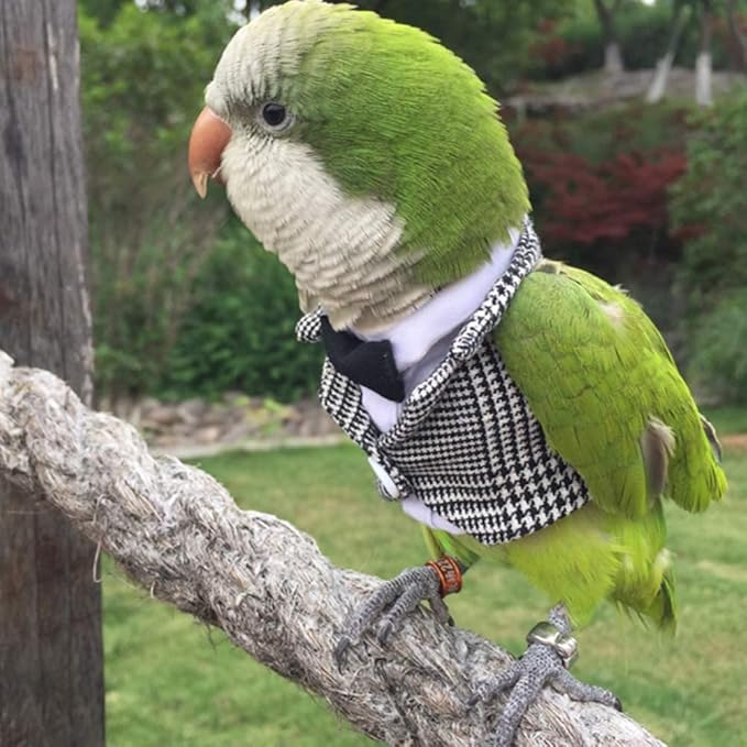 Bird Clothes Birds Flight Suit,Tuxedo Business Suit for Parrots African Greys Parakeet Cockatiel Sun Conure Christmas Party Birthday Cosplay Photo Prop Small Animals Apparel (XS,Grid Suit)