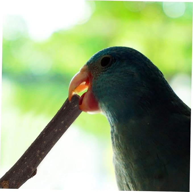 Yardwe 200G Apple Branch Chew Stick for Hamsters Rabbits Pets Interactive Teeth Grinding for Health Fun Natural Wooden Molar Stick