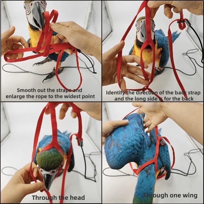 Adjustable Bird Harness with 78.7 Inch Leash, Outdoor Flying Training Rope Kit for Bird Parrots, Parrot Flying Rope Straps Outdoor Training Traction Rope for Small Medium Large Size Birds (Petite)