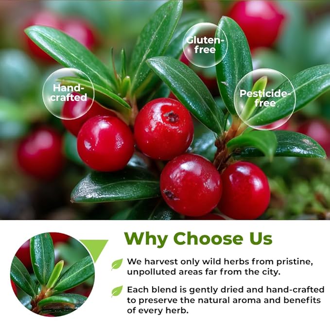 4 oz. Uva Ursi Leaf Uva Ursi Tea Herbal (Arctostaphylos Uva-Ursi) - 113g Uva-Ursi Herb Tea Arctostaphylos Uva-Ursi