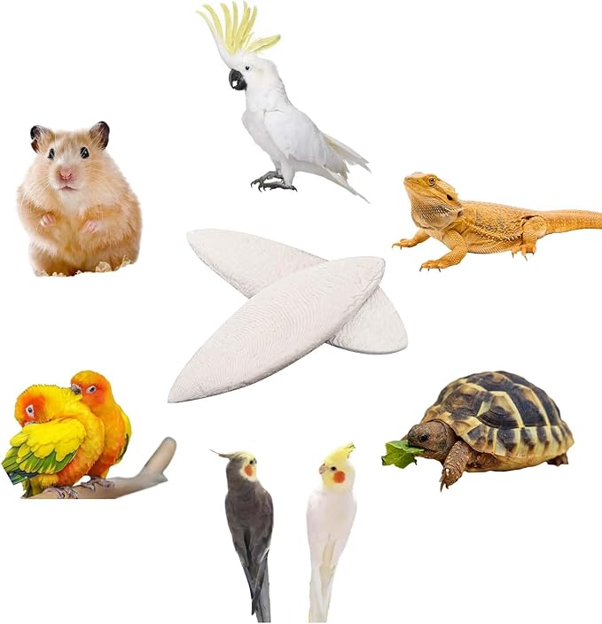 6 Pcs Natural Cuttlebone Parakeets Pure Cuttlebone Calcium Stone for Tortoise Parakeets Canaries Cockatiels Turtles Cockatiel 9.5-10.4cm/3.7-4 inch