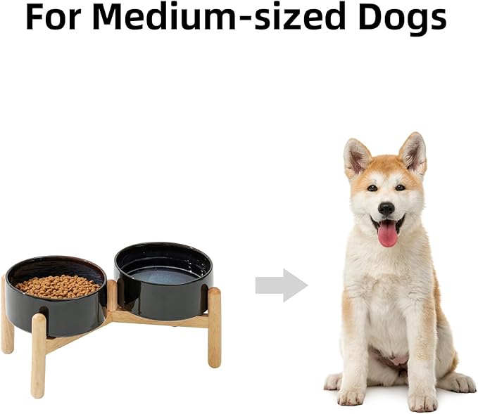 Havniva Ceramic 6.1inch Raised Dog Bowl with Stand for Small and Medium Breed Dog Dish Pet Food and Water Bowl (Double Bowl with Stand - Starry Sky, 28oz)