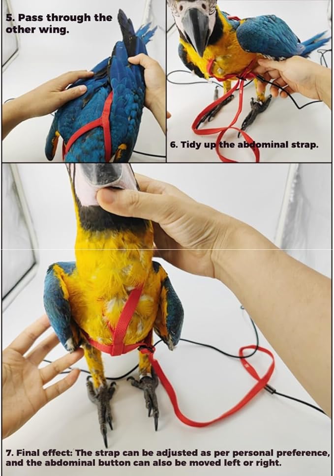 Adjustable Bird Harness and Leash for Parrots Outdoor Flight Training Anti-Bite Light Weight Easy-to-Wear Bird Vest with 59 Inch Elastic Leash for Quaker Conure African Grey Macaw Cockatoo (XXS)