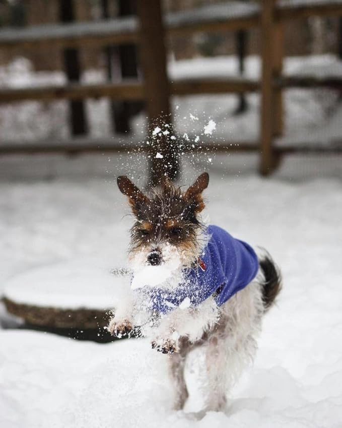 Gooby - Stretch Fleece Vest, Pullover Fleece Vest Jacket Sweater for Dogs, Violet, Small Length (8.5")