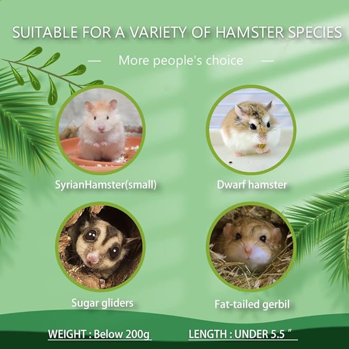 Large Size Syrian Hamster Explorer Set - Snap-Together Wooden Burrow with Panoramic Window,Natural Chew-Safe Design Decorative Landscaping Digging Peeping Hide Underground Fun for Cage Enrichment