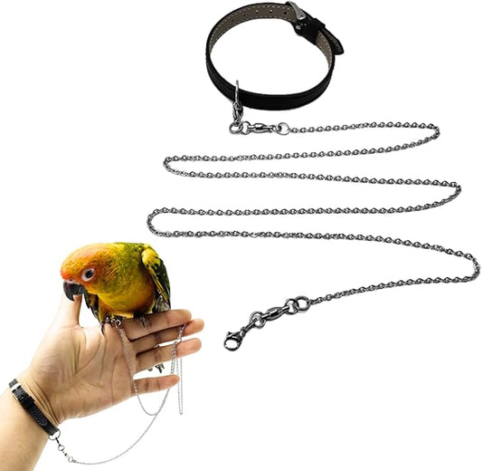 Bird Foot Chain Flying Stainless Steel Training Rope with Leather Wrist Strap Outdoor Parrot Ankle Foot Ring Accessories Bird Harness Leash Prevent Escaping (Model 4 Set)