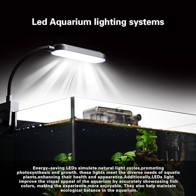 2.8 Gallon Glass Fish Tank,Small Fish Tank with Light and Filter | Aquarium Starter Kit,Nano Shrimp Aquarium for Small Fish, Shrimp,or Betta,Desktop Corner