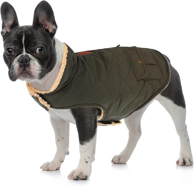 Queenmore Warm Coat for Cold Weather, Quilting Winter Jacket With Ultra Thick Plush Lining and Storage Pockets (Green, X-Large)