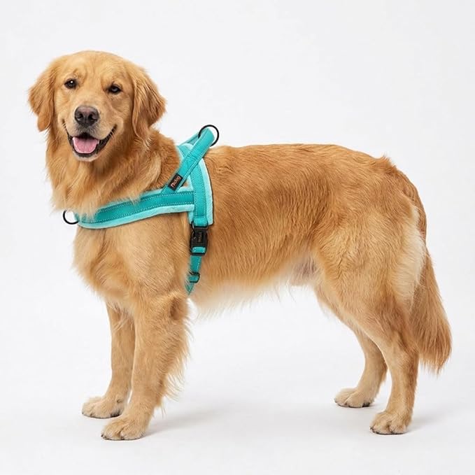 Didog Soft Flannel Padded Dog Vest Harness, No Pull/Quick Fit Reflective Dog Strap Harness, Easy for Training Walking (L:Chest 26-32", Green)