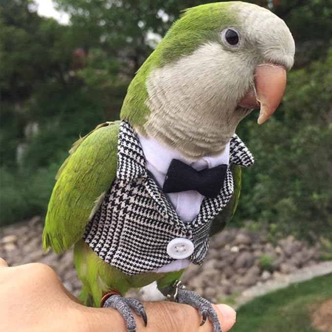 Bird Clothes Birds Flight Suit,Tuxedo Business Suit for Parrots African Greys Parakeet Cockatiel Sun Conure Christmas Party Birthday Cosplay Photo Prop Small Animals Apparel (4XL,Grid Suit)