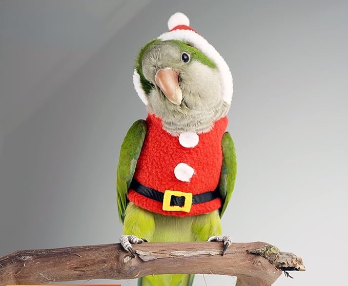 Bird Clothes Birds Flight Suit, Christmas Hoodie for Parrots Cockatiel Sun Conure Christmas Party Cosplay Photo Prop Bird Shirt Small Animals Apparel (with Diaper,Eclectus)