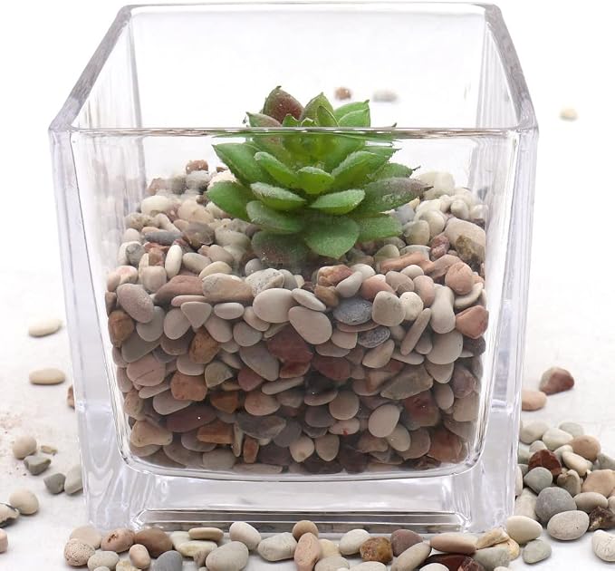 Earth Color Rocks for Plants & Planters, Decorative Pebbles, 1/5", 10 lb