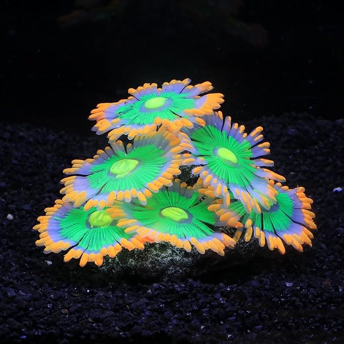 ZtohPyo Glowing Effect Soft Anemone Aquarium Fish Tank Decorations Silicone Glow in The Dark Artificial Ornament Plants for Aquarium Landscape Small/Large Fish Bowl Decor Accessories
