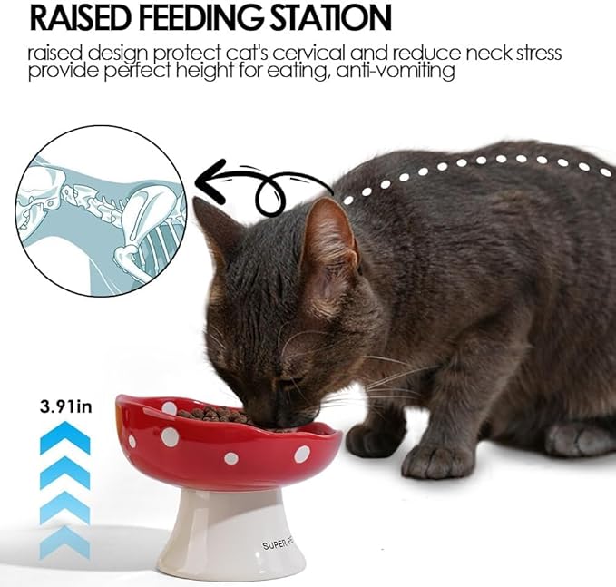 Ceramic Elevated Cat Bowls, Tilted Raised Pet Dish Anti Vomit Kitten Bowl for Indoor Cats, Whisker Friendly Pet Food and Water Bowl for Kitten, Cat, Puppies, Dishwasher Safe (Green)